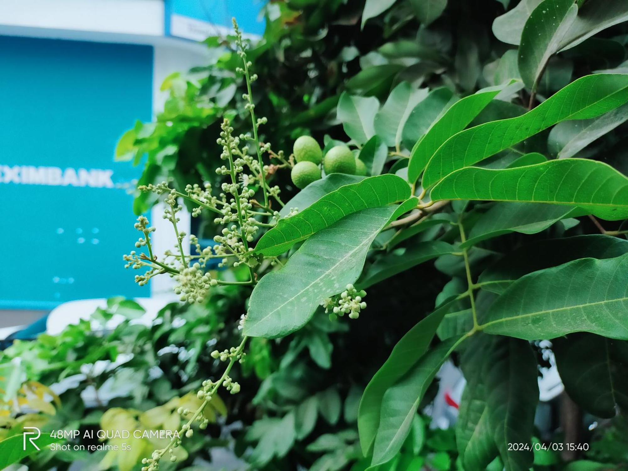 Shusimi House & Boutique Near Tan Son Nhat Airport Ho Chi Minh-Byen Eksteriør billede